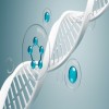 Journal of Enzymes - Radical Scavenging