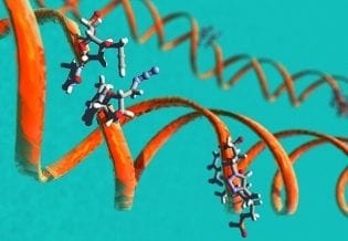 Journal of DNA And RNA Research